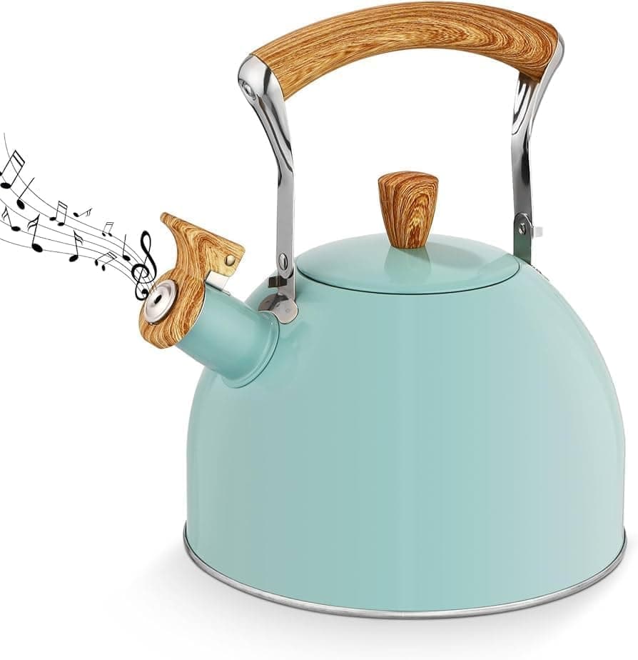 Modern Mint Green Stainless Steel Kettle with Wooden Handle - 2.5L Capacity